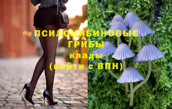 спайс Алексин