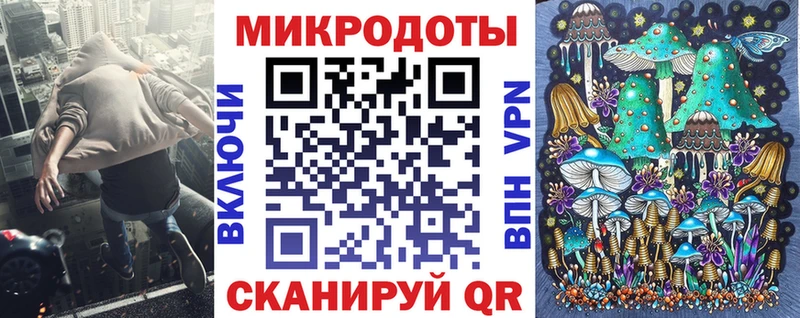 Псилоцибиновые грибы Cubensis  Апатиты 
